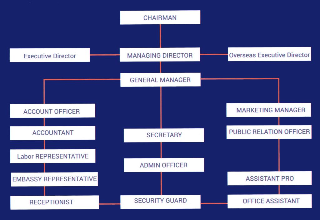 Organization Chart Swastik Overseas Services Pvt Ltd